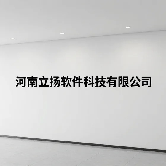 河南立扬软件科技有限公司